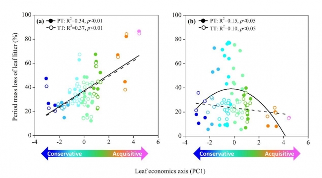 Invertebrate phenology modulates the effect of the leaf economics spectrum-2 Invertebrate phenology modulates the effect of the leaf economics spectrum-2